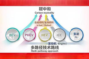 不怯场！文班亚马半场11中7拿下18分 左手挑篮&暴扣&三分都有